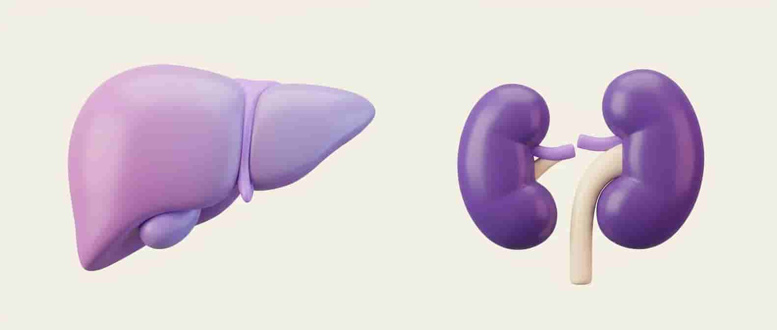 Depuración Renal y Hepática NutriSer Plus